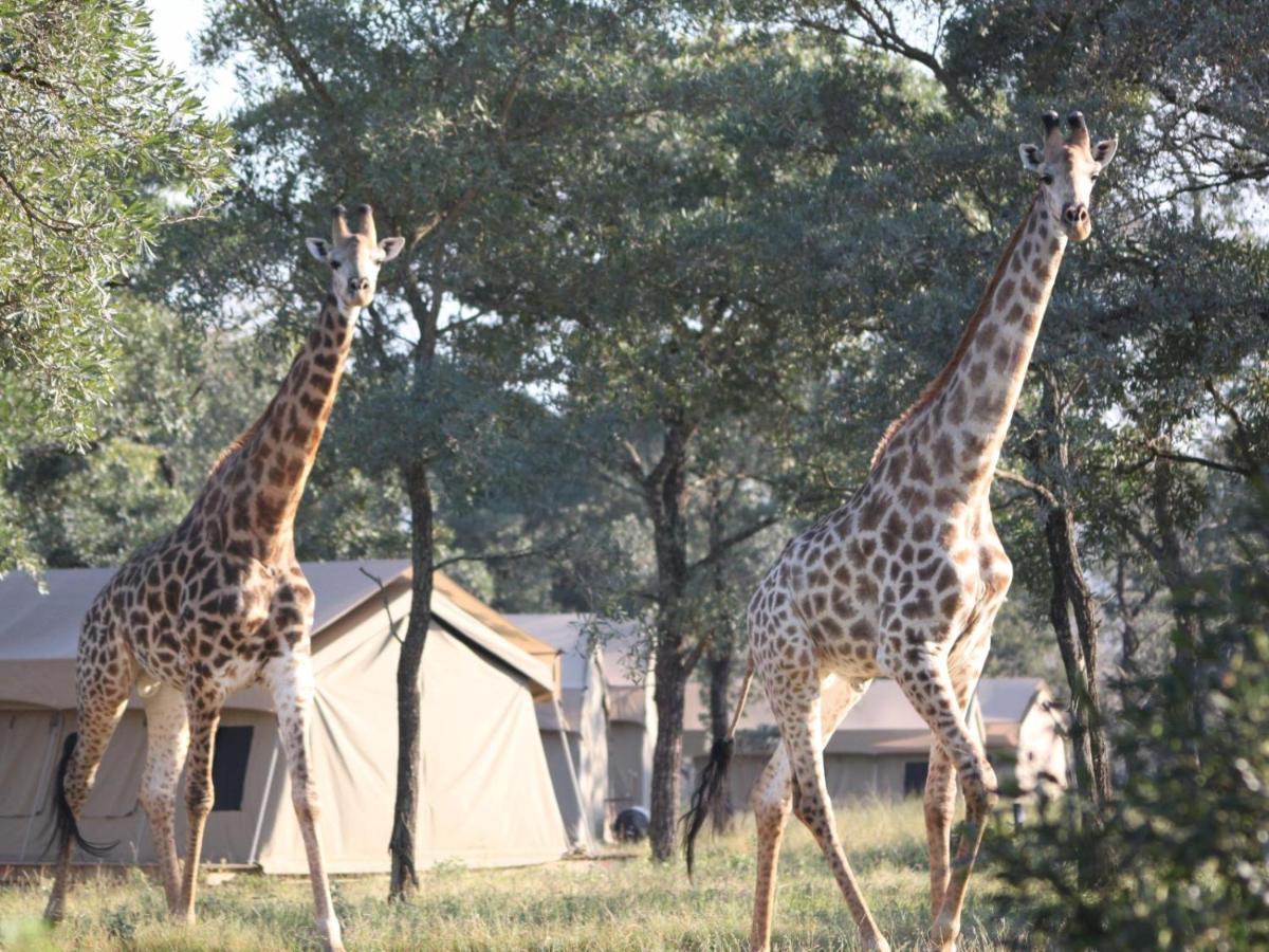 Unyati Safari Lodge Hectorspruit Eksteriør bilde