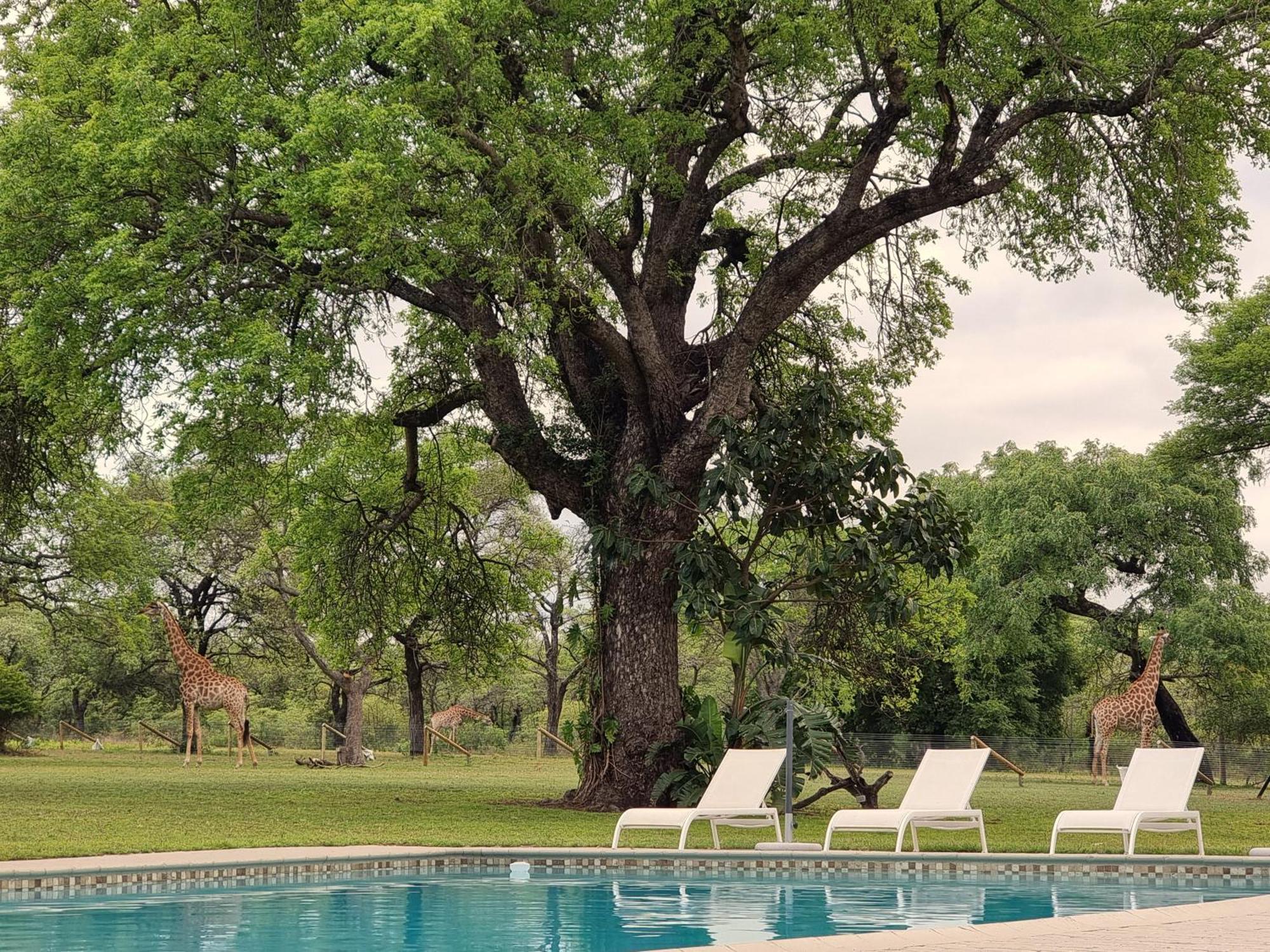 Unyati Safari Lodge Hectorspruit Eksteriør bilde