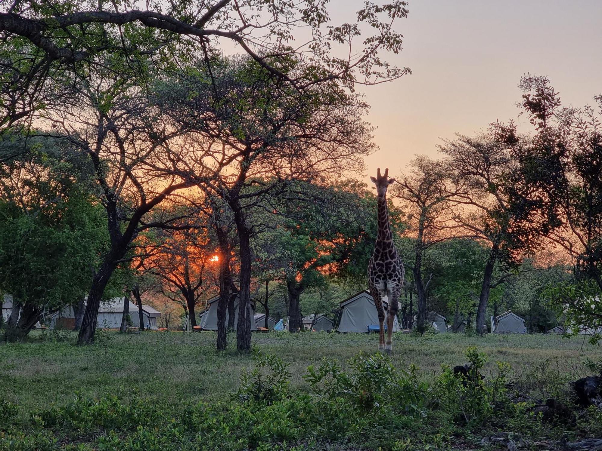 Unyati Safari Lodge Hectorspruit Eksteriør bilde