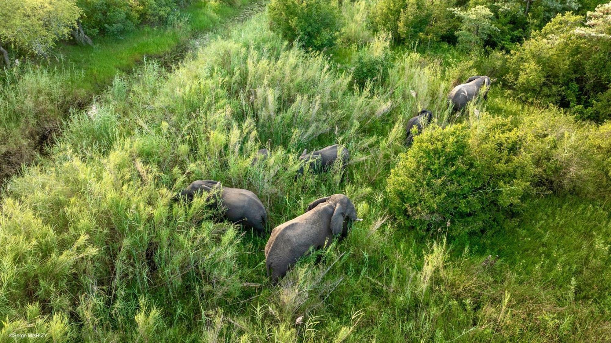 Unyati Safari Lodge Hectorspruit Eksteriør bilde